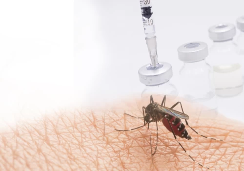 India’s first Dengue vaccine on the horizon: TAK-003 set for 2026 launch